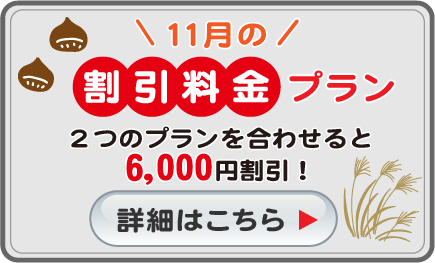 11月の割引料金プラン